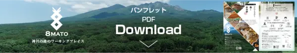PDFダウンロード